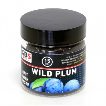 Бойлы GBS Baits тонущие насадочные 15мм 100гр Wild Plum Дикая Слива (5шт в упак)